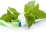 Herbal Ayurvedic Toothpaste