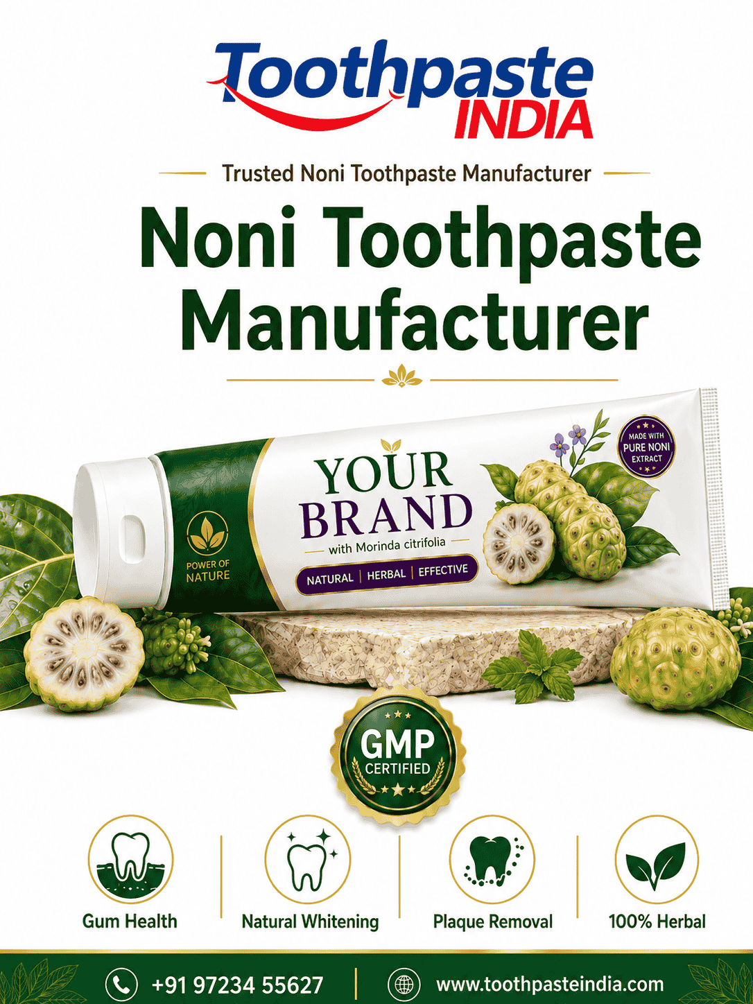 Noni toothpaste manufacturer by Toothpaste India offering noni oral care toothpaste manufacturer, private label toothpaste manufacturer and third party toothpaste manufacturer India.