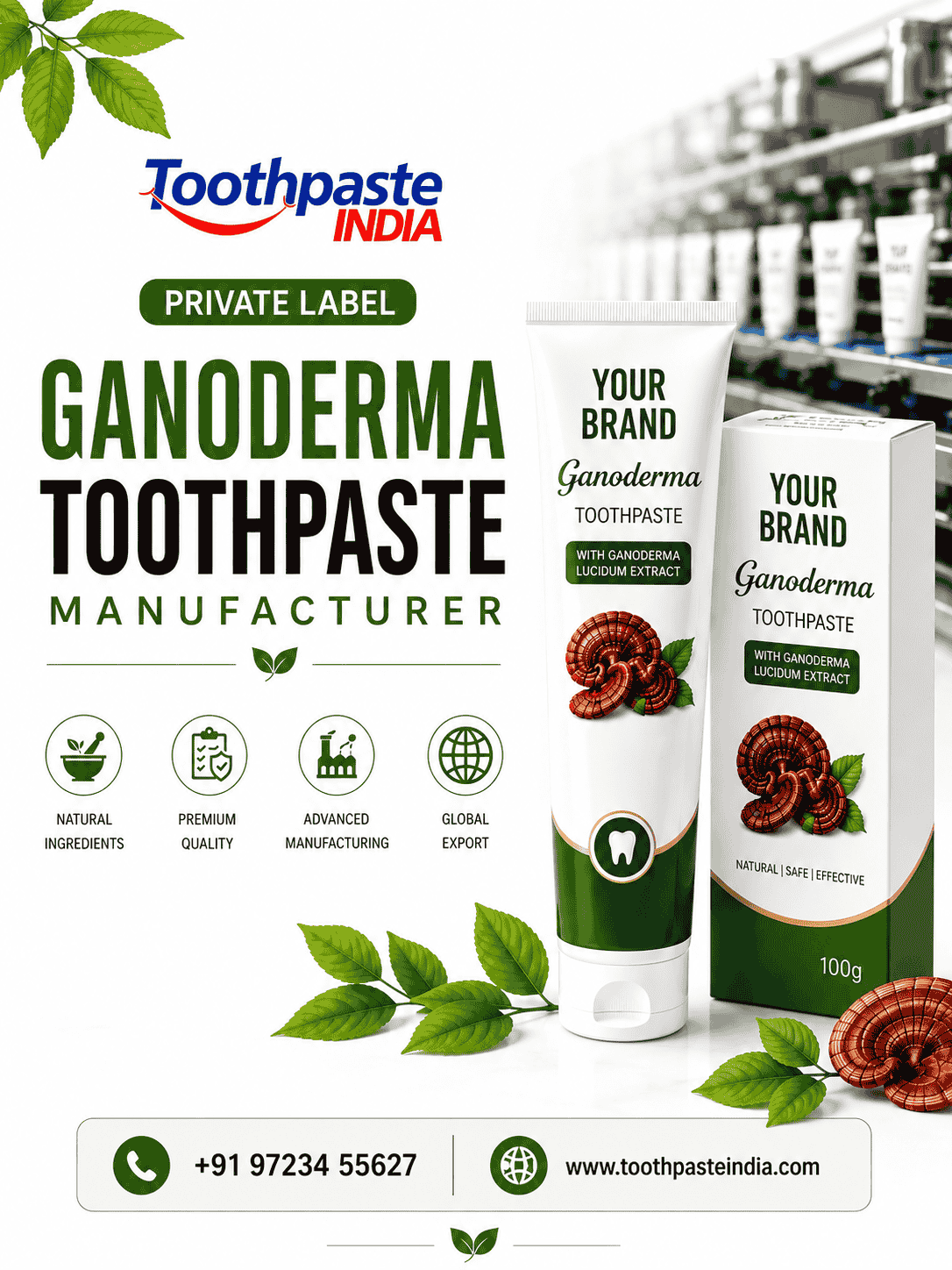 Private Label Ganoderma Toothpaste Manufacturer with Gano Toothpaste and third party Ganoderma lucidum toothpaste packaging